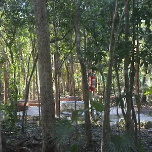 https://glamping-mayan-glam.quintano-roohotels.com